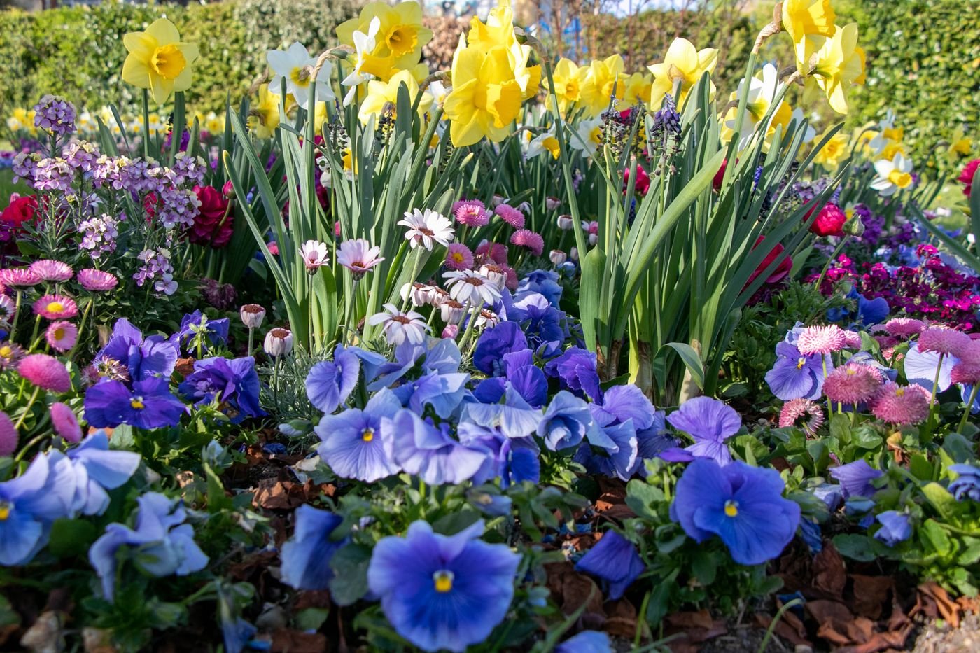 Seasonal bed planting installation