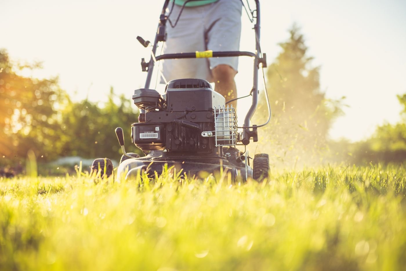 Lawn care and mowing